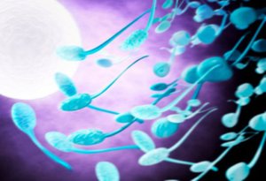 Что показывает анализ спермограмма
