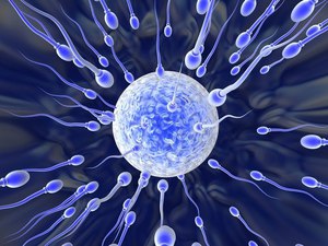 Почему принимают решение сдать анализ спермы