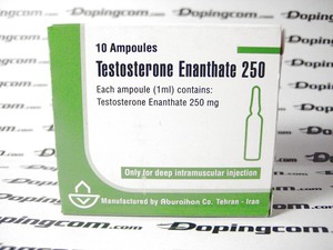 Тестостерон Энантат - что это за лекарство
