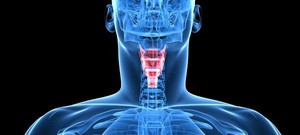 Зачем нужна щитовидная железа, и почему она так важна