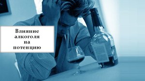 Влияние алкоголя на мужские клетки