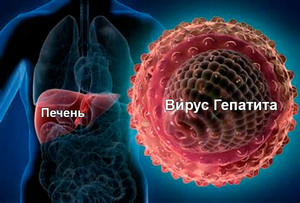Как передается гепатит и почему он может считаться венерической болезнью