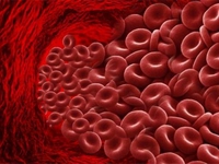 Что делать, чтобы понизить гемоглобин