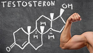 Уровень тестостерона у мужчин