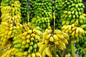 Особенности спелых и зелёных бананов